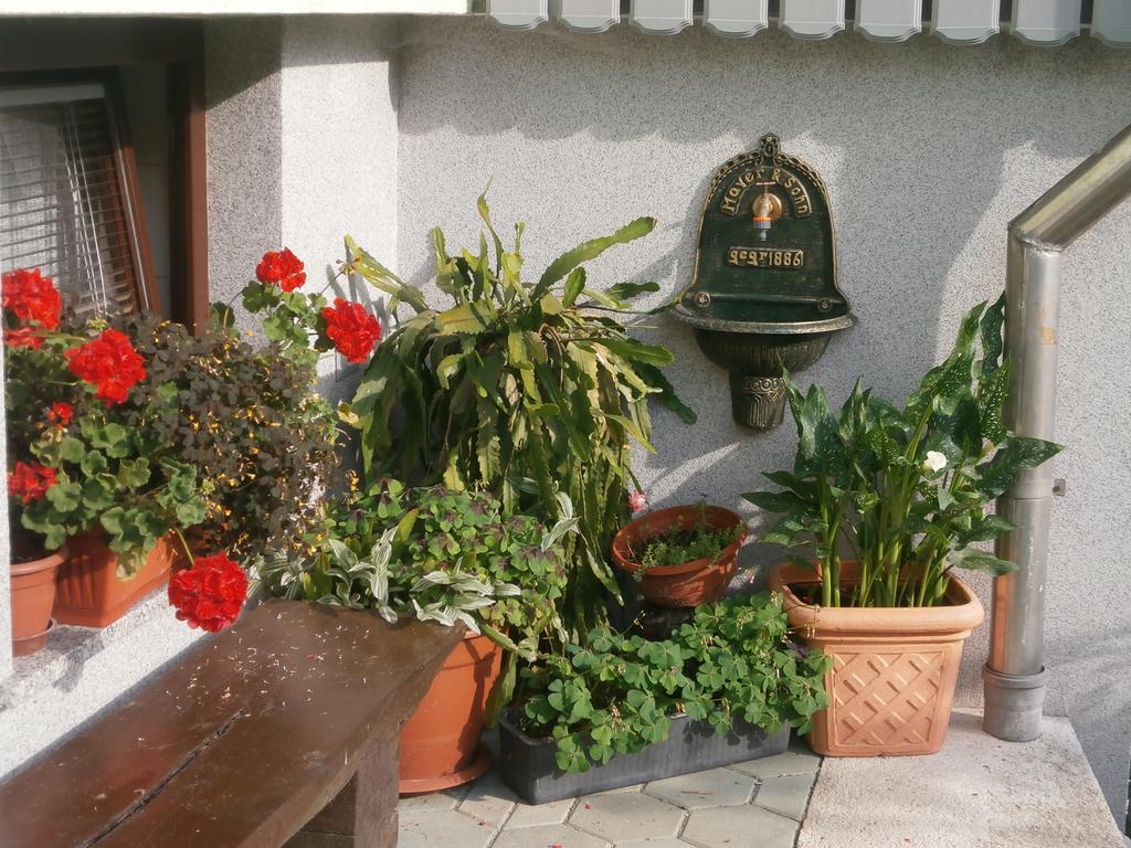 Apartment Zvan Bohinj Rum bild