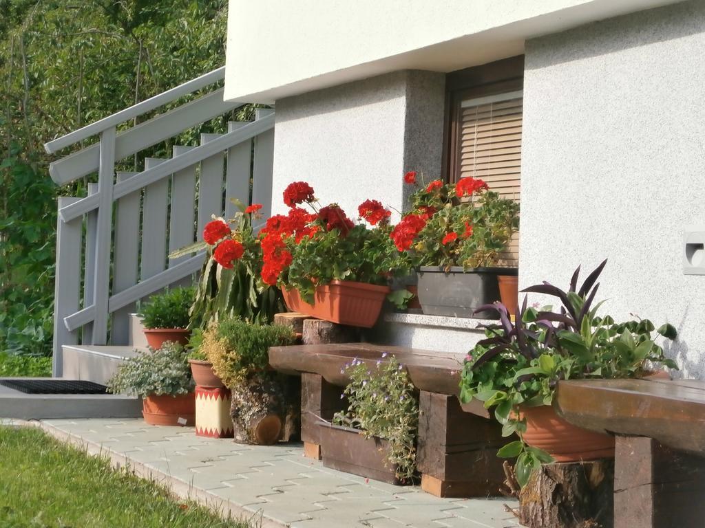 Apartment Zvan Bohinj Rum bild