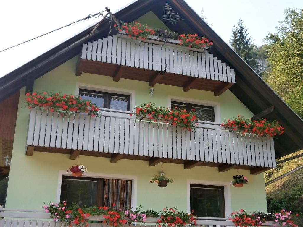 Apartment Zvan Bohinj Rum bild